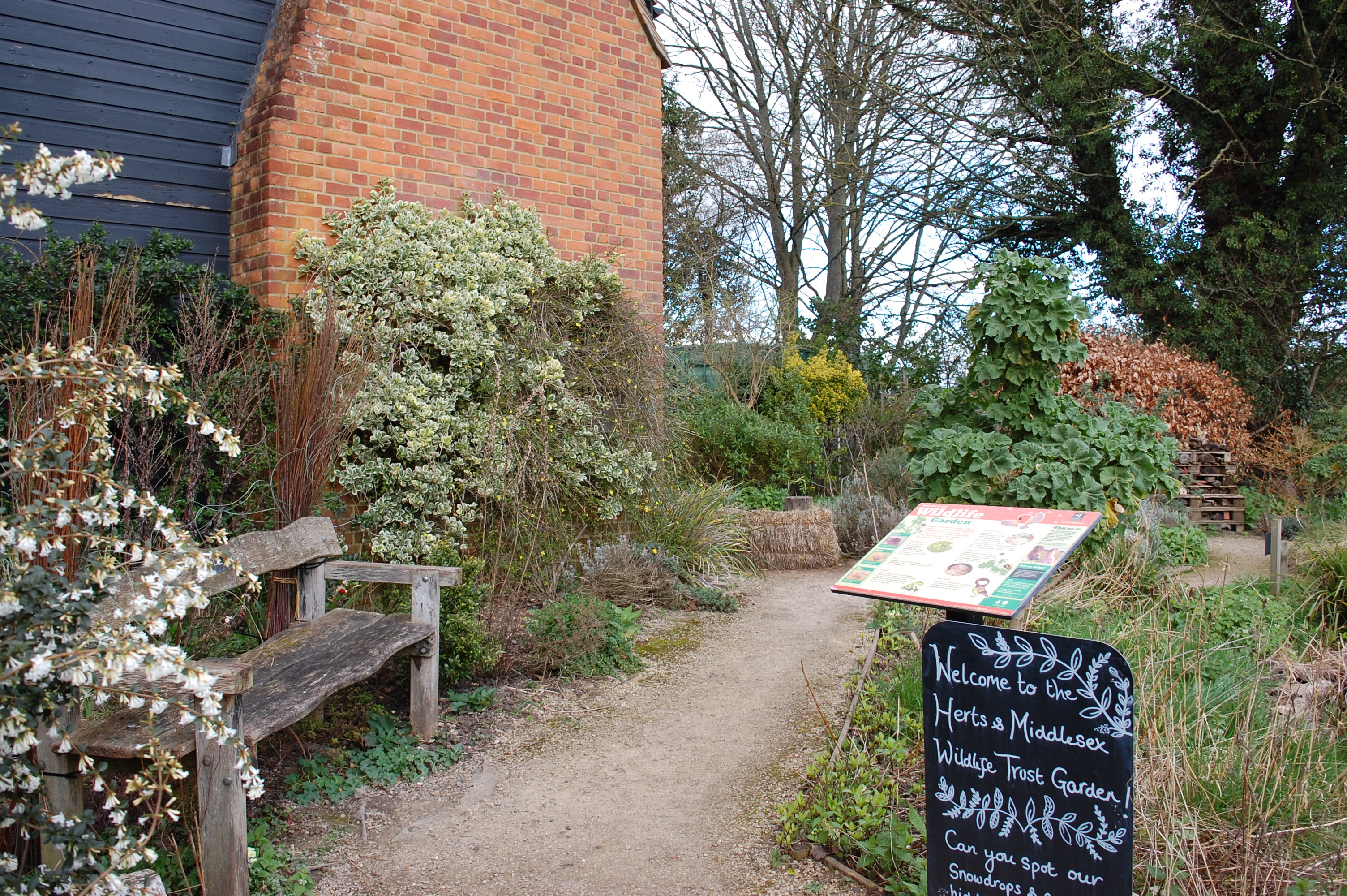 Plans to create a wilder St Albans District