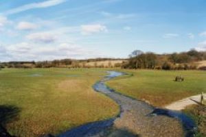 St Albans Council Biodiversity Net Gain