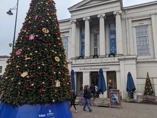 Image showing St Albans Museum and Christmas tree.