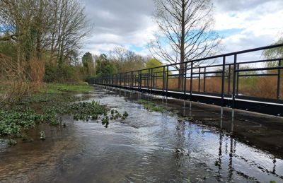 River flowing under the new raise path into Bell Meadow in Verulamium Park