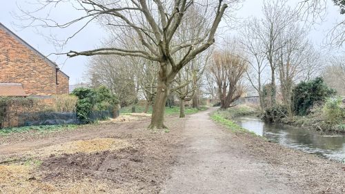 Completed tree work alongside the River Ver in Pocket Park