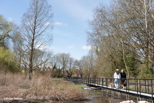 Boardwalk crossing wetland in Bell Meadow, Verulamium Park