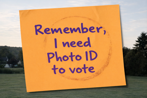 Voter ID poster